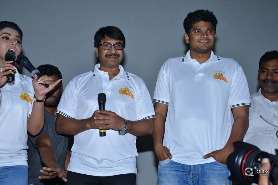 Jayammu-Nischayammu-Raa-Movie-Team-At-Satyam-Theatre
